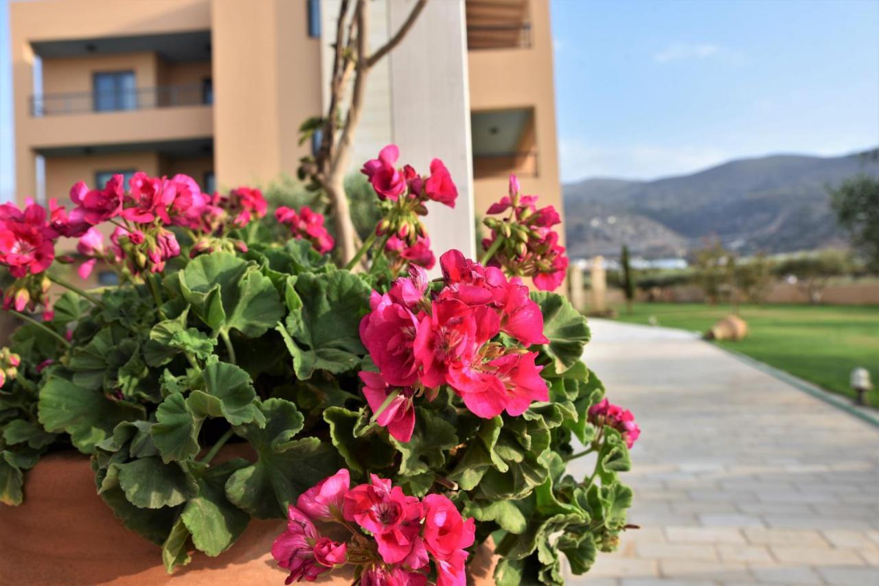 Golden Bay Hotel Apartments Malia Exterior foto
